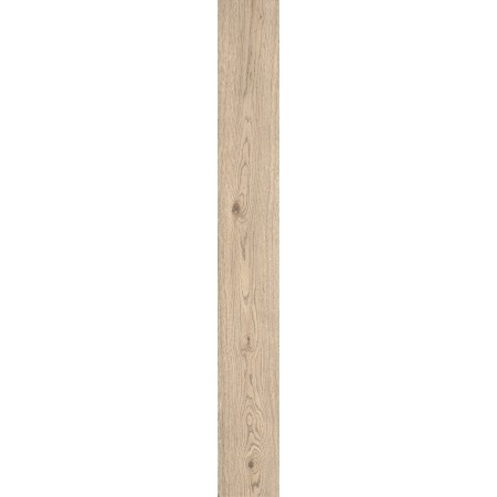 VIVO GRANO 22.5X180 Rectifié