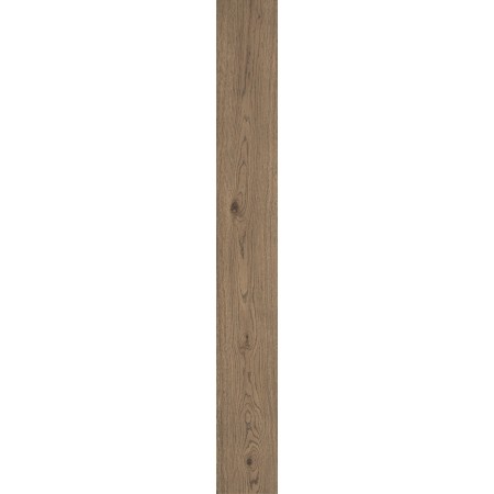 VIVO TABACCO 22.5X180 Rectifié