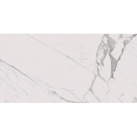 FABULA STATUARIO NATURALE 60X120 Rectifié