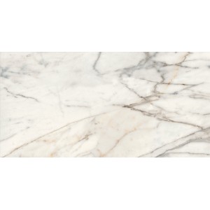 FABULA GOLDEN NATURALE 60X120 Rectifié