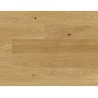 CASAPARK 181 CHÊNE 14 tranquille verni mat 14 x 181 x 2200 mm