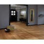 CASAPARK 181 CHÊNE 14 tranquille verni mat 14 x 181 x 2200 mm