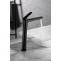 BELGICA MITIGEUR LAVABO HAUT SANS VIDAGE NOIR MAT