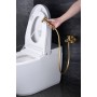 MUNICH BIDET AVEC MITIGEUR EAU CHAUDE ET FROIDE OR BROSSÉ