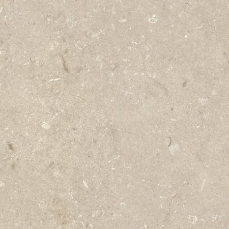 ULTRA SHELLSTONE BEIGE 60X60 rectifié 20MM