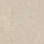 ULTRA SHELLSTONE BEIGE 60X60 rectifié 20MM