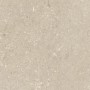ULTRA SHELLSTONE BEIGE 60X60 rectifié 20MM