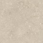 ULTRA SHELLSTONE BEIGE 60X60 rectifié 20MM