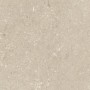 ULTRA SHELLSTONE BEIGE 60X60 rectifié 20MM