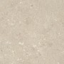 ULTRA SHELLSTONE BEIGE 60X60 rectifié 20MM