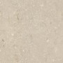ULTRA SHELLSTONE BEIGE 60X60 rectifié 20MM