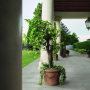 APPEAL_FLOOR GREY OUTDOOR 30X60 rectifié