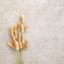 MYSTONE_LIMESTONE20 60X120 TAUPE Rectifié 20mm