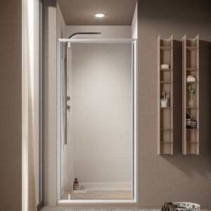 OUTLINE NICHE 1 PORTE PIVOTANTE PROFIL ARGENTÉ BRILLANT VERRE TRANSPARENT