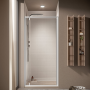 OUTLINE NICHE 1 PORTE PIVOTANTE PROFIL ARGENTÉ BRILLANT VERRE TRANSPARENT