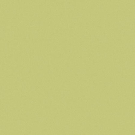 CE.SI. I COLORI MATT 20x20 POMME