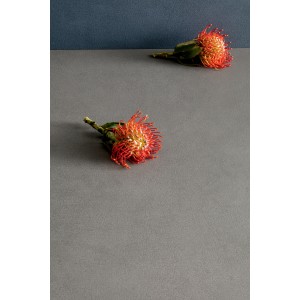 PIGMENTI SLIMTECH BASALT 100X100 NAT - ÉP. 3,5 MM