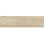 RAGNO CERAMICHE WOODTALE BÉTULLE RECTIFIÉ 30X120