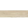 RAGNO CERAMICHE WOODTALE BÉTULLE RECTIFIÉ 30X120