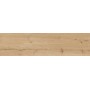 RAGNO CERAMICHE WOODTALE MIEL RETTIFIÉ 30X120