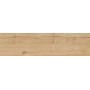 RAGNO CERAMICHE WOODTALE MIEL RETTIFIÉ 30X120