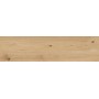 RAGNO CERAMICHE WOODTALE MIEL RETTIFIÉ 30X120