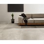 PIETRAVIVA GRIGIO CHIARO SILK 60,4x90,6 Rectifié