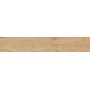 RAGNO CERAMICHE WOODTALE MIEL RETTIFIÉ 20X120