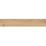RAGNO CERAMICHE WOODTALE MIEL RETTIFIÉ 20X120