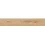 RAGNO CERAMICHE WOODTALE MIEL RETTIFIÉ 20X120