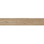 RAGNO CERAMICHE WOODTALE NOISETTE RÉCTIFIÉ 20X120
