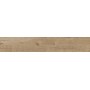 RAGNO CERAMICHE WOODTALE NOISETTE RÉCTIFIÉ 20X120
