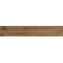 RAGNO CERAMICHE WOODTALE NOCE RÉCTIFIÉ 20X120