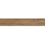 RAGNO CERAMICHE WOODTALE CHÊNE RECTIFIÉ 20X120