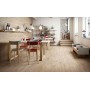 RAGNO CERAMICHE WOODTALE BÉTULA RÉCTIFIÉ 15X120
