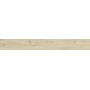RAGNO CERAMICHE WOODTALE BÉTULA RÉCTIFIÉ 15X120
