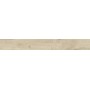 RAGNO CERAMICHE WOODTALE BÉTULA RÉCTIFIÉ 15X120