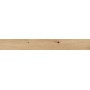 RAGNO CERAMICHE WOODTALE MIEL RECTIFIÉ 15X120