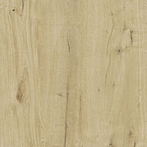 RAGNO CERAMICHE WOODTALE XT20 20mm NOISETTE 60X60 RECTIFIÉ
