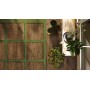 RAGNO CERAMICHE WOODTALE XT20 20mm NOYER 60X60 RECTIFIÉ