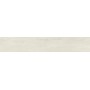 RAGNO CERAMICHE WOODPASSION GLACE 15X90