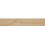 RAGNO CERAMICHE WOODLIVING ROSEAU BLOND RECTIFIÉ 20X120