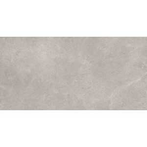 RAGNO CERAMICHE CREEK GRIS 60X120 RECTIFIÉ