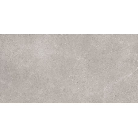 RAGNO CERAMICHE CREEK GRIS 60X120 RECTIFIÉ