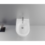 FISSORE.com ENSEMBLE DE VOLANT VASQUE + BIDET MURAL SANS BRIDE COMPRENANT UN SIÈGE SOFT CLOSE