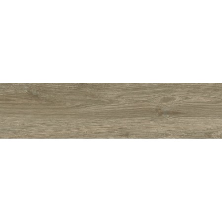 PLANET NOCE 30X120 Rectifié