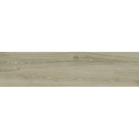 PLANET ROVERE 30X120 Rectifié