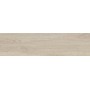 PLANET OLMO 30X120 Rectifié