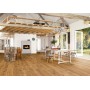 Préfabriqué Chêne Expressif, LIVE Natural Huile, Brossé, Bois Noble 2.7mm