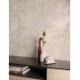 FIND ASH 60X120 Rectifié